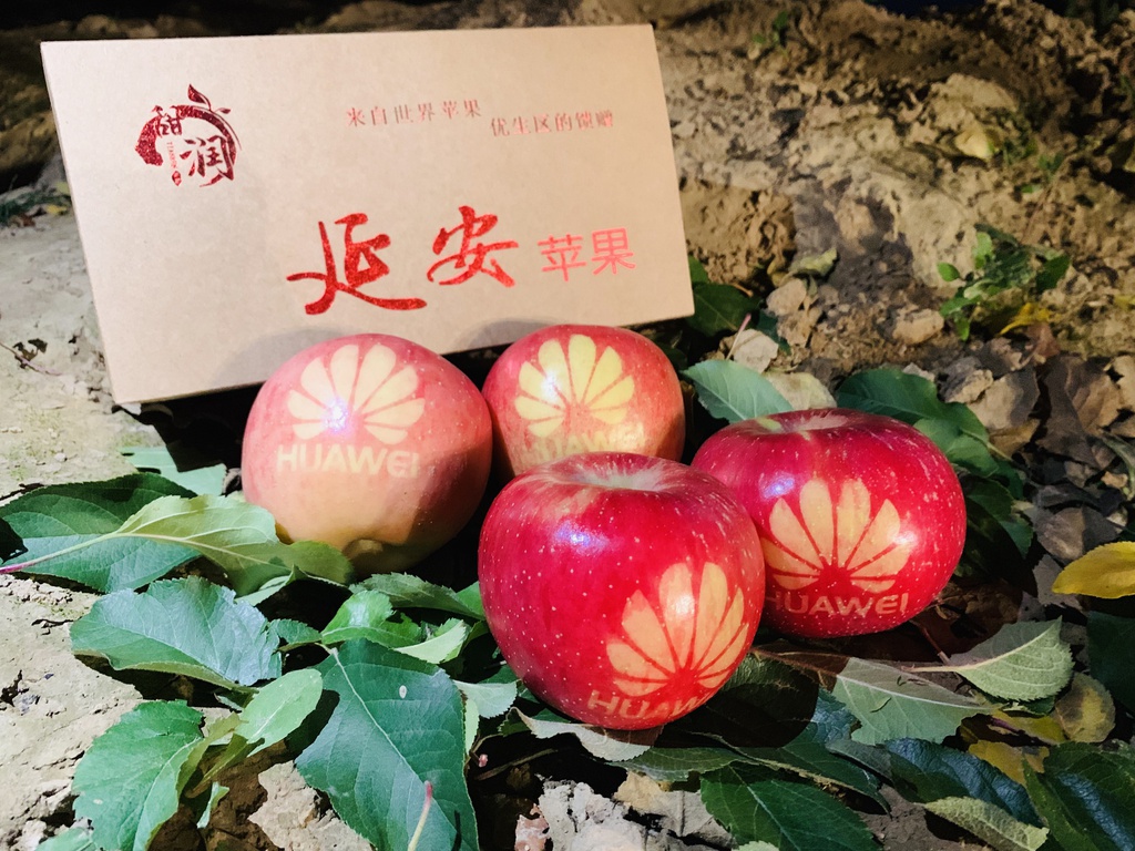 可企业定制